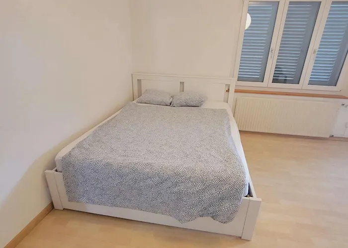 Apartment 5-bed Huge Flat In - Schurgi - Self Checkin *